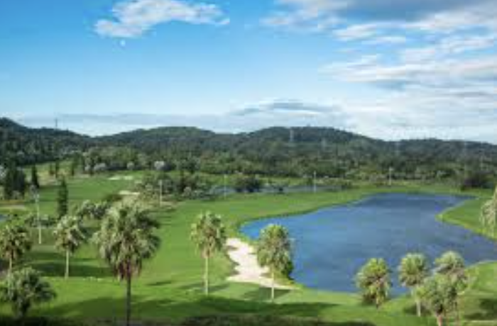 【 國內賽公告 】2026 四月份 DI 菁英賽第三站（更新）